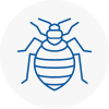 Bed Bug Extermination In Mortlake