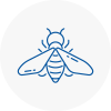 Bee Nest Removal Mortlake