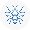 Mortlake Hornet Nest Removals