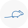Mice Exterminators In Mortlake