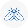 Moth Control Specialists In Mortlake