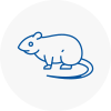 Rat Control Mortlake