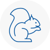 Mortlake Rodent Removals