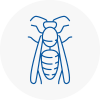 Mortlake Wasp Nest Removal